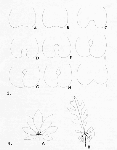 anthdesfig3,4.gif - 106666 Bytes