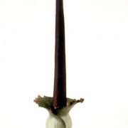 Image of Amorphophallus hirtus  N.E. Br..