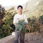 Image of Amorphophallus rhizomatosus  Hett..